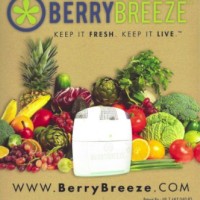 Berry Breeze